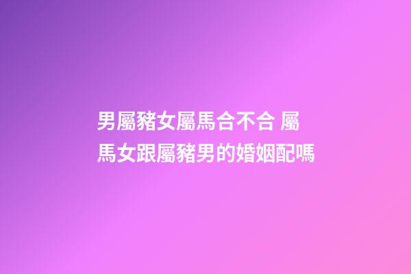 男屬豬女屬馬合不合 屬馬女跟屬豬男的婚姻配嗎-第1張-觀點-玄機派
